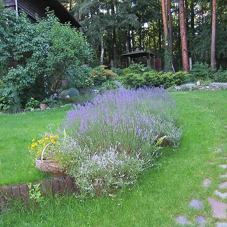 아파트 Apartment Sopot